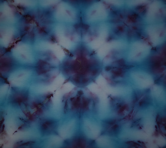 Boogie Woogie Hydrangea