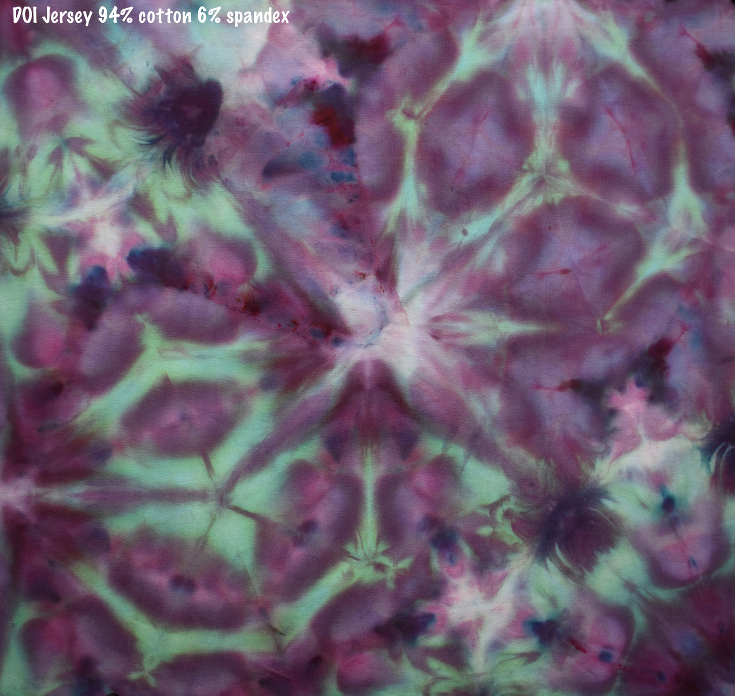 Purple Romagna Artichoke