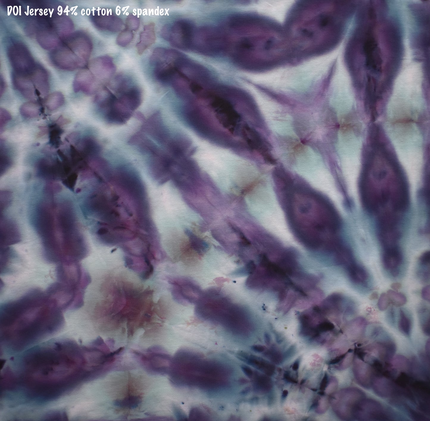 Eryngium Leavenworthii